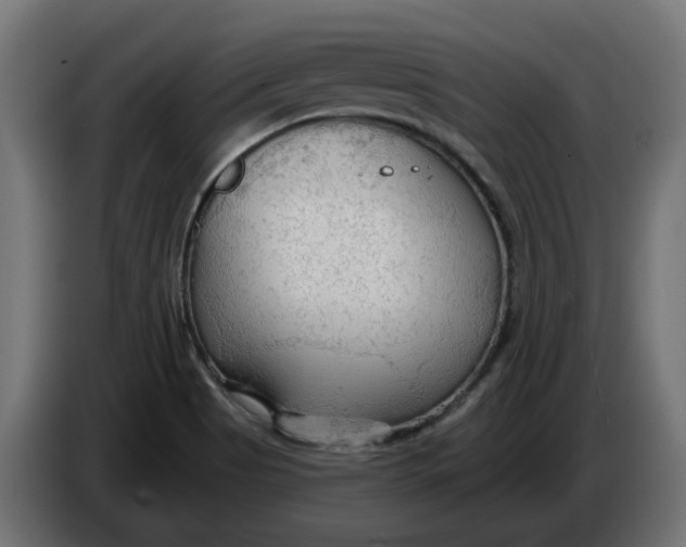 X0000083551513200703021636