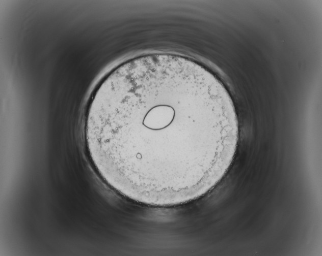X0000083551514200703021636