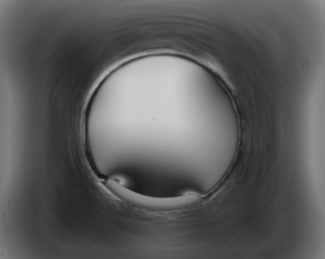 X0000083551516200703021636