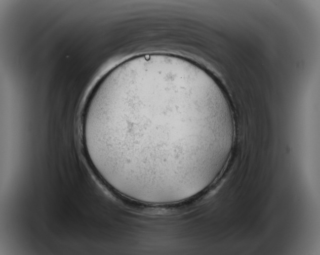 X0000083551517200703021636