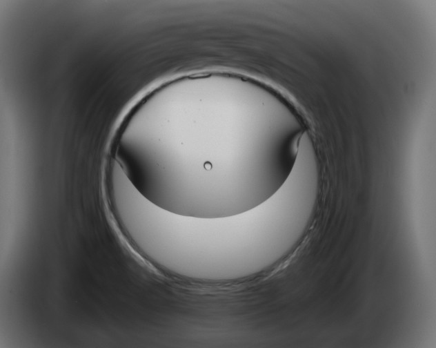X0000083551518200703021636