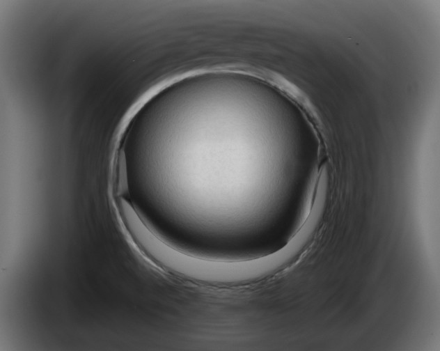 X0000083551520200703021636
