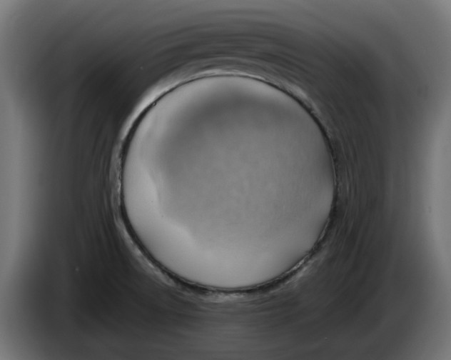 X0000083551522200703021636