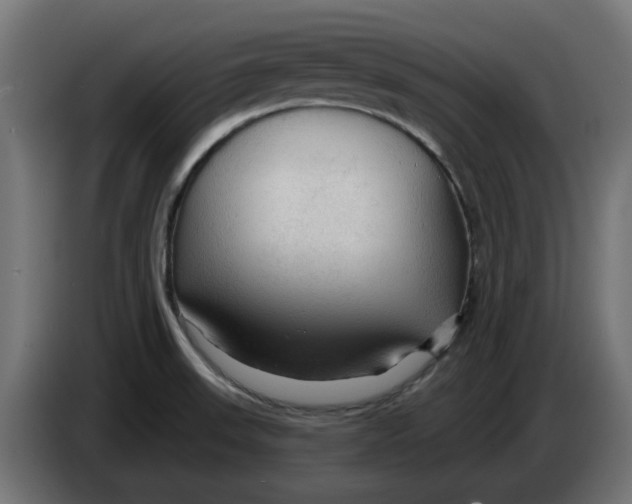 X0000083551523200703021636