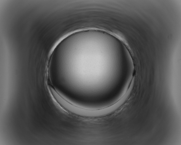 X0000083551524200703021636