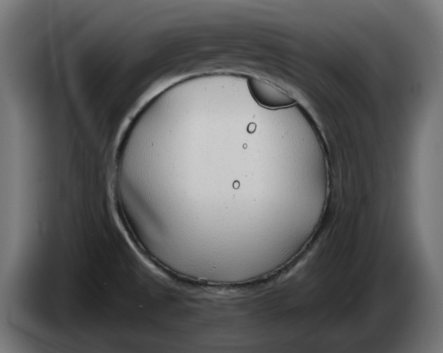 X0000083551525200703021636