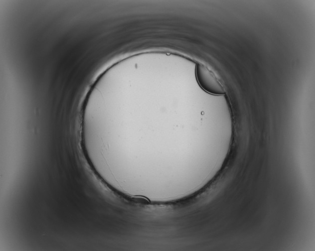 X0000083551526200703021636