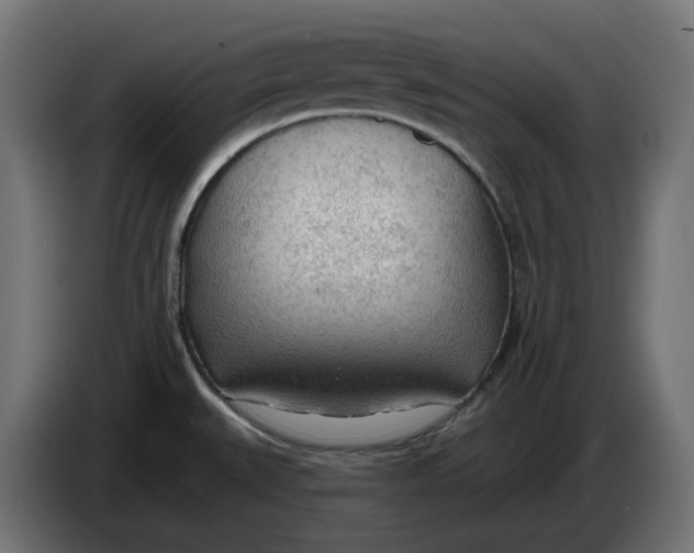 X0000083551527200703021636