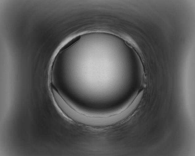 X0000083551528200703021636