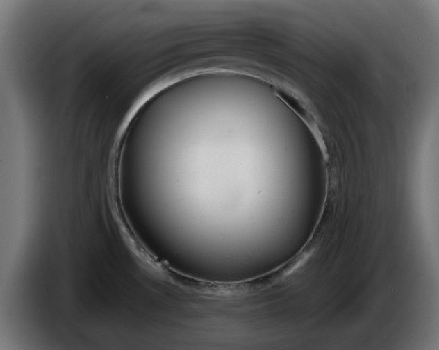X0000083551530200703021636