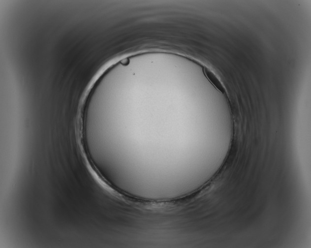 X0000083551531200703021636