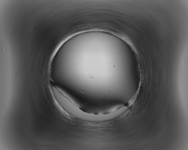 X0000083551532200703021636