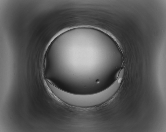 X0000083551534200703021636