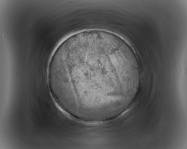 X0000083551535200703021636