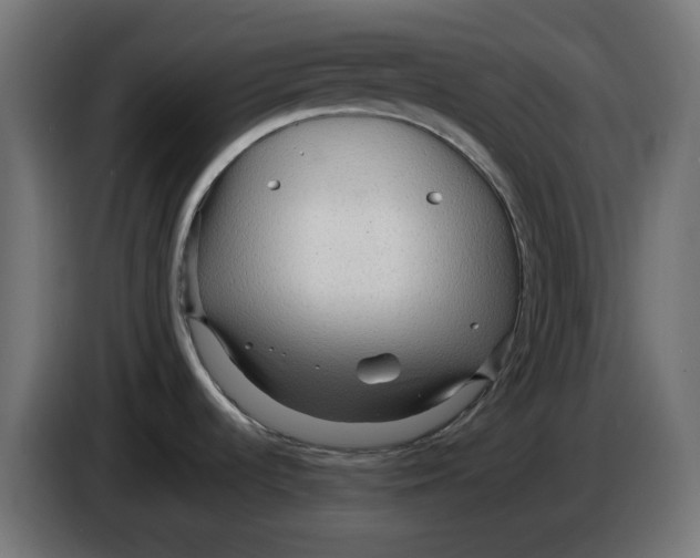 X0000083551536200703021636