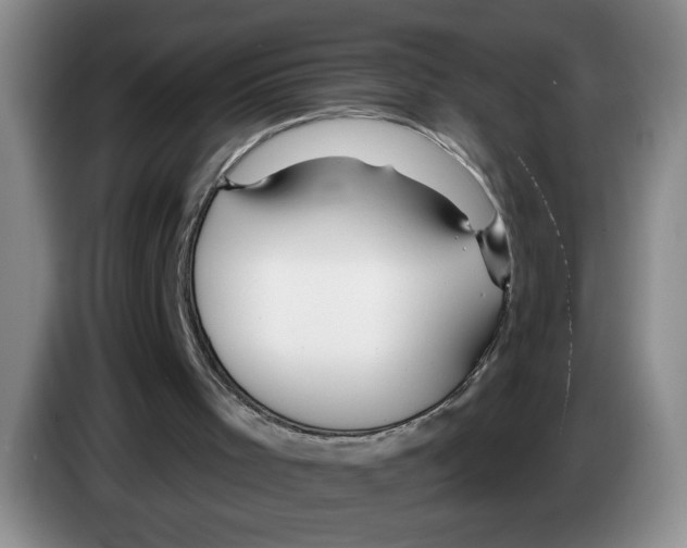 X0000083550001200703091605