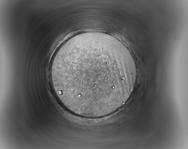 X0000083550002200703091605