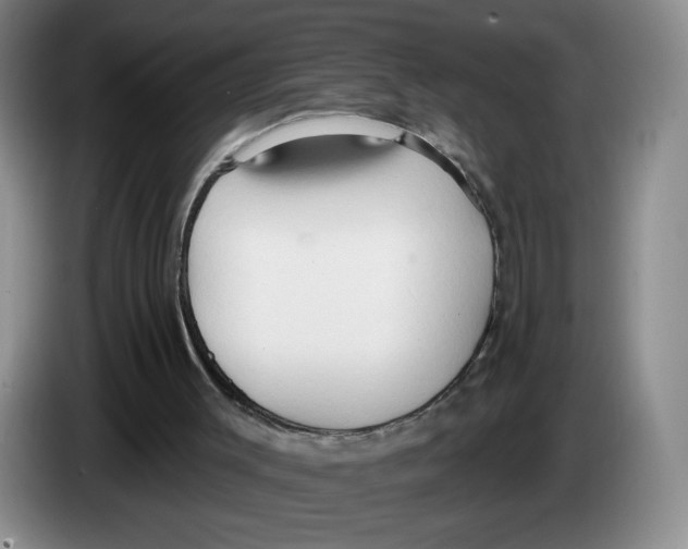 X0000083550003200703091605