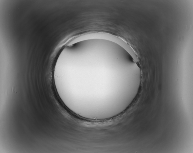 X0000083550005200703091605