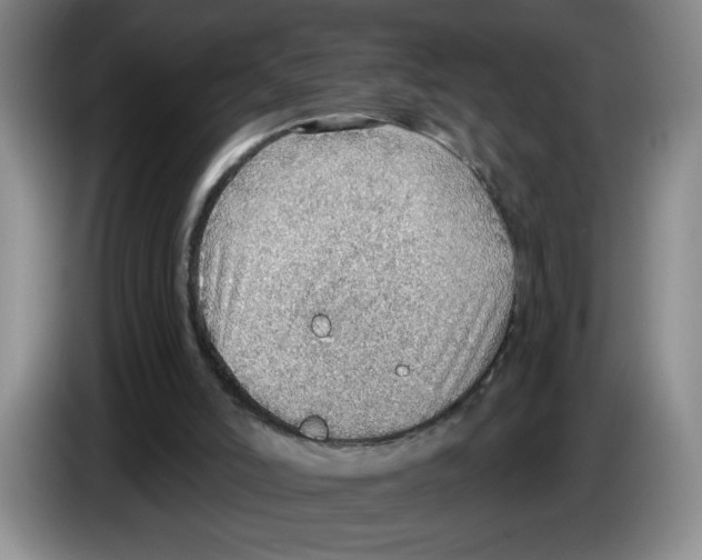 X0000083550006200703091605