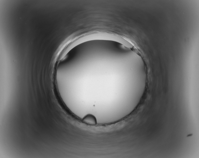 X0000083550007200703091605