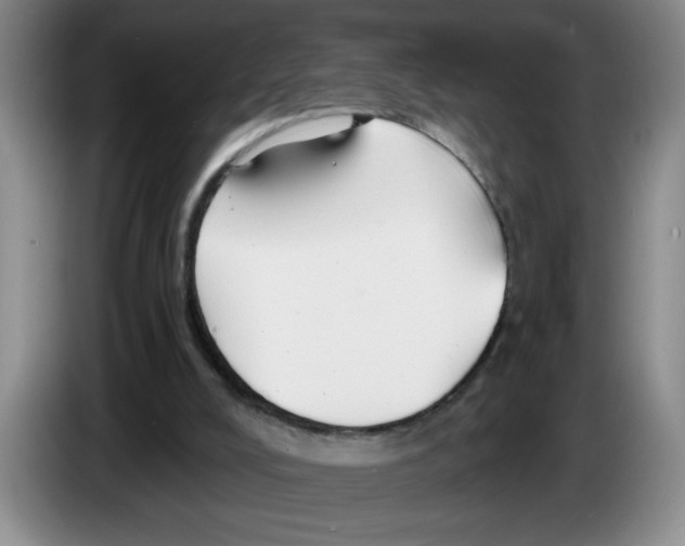 X0000083550008200703091605