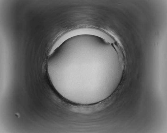X0000083550009200703091605