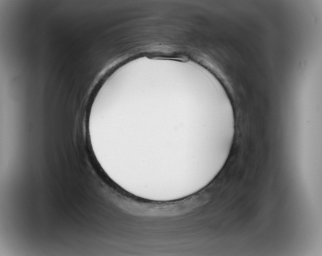 X0000083550011200703091605
