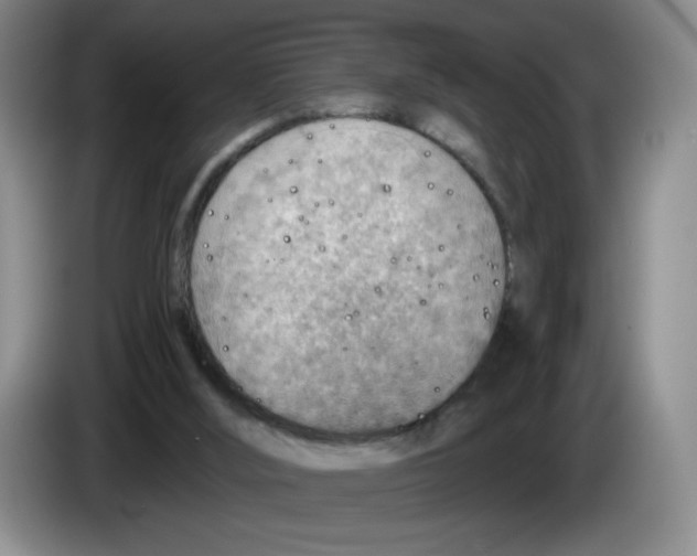 X0000083550012200703091605