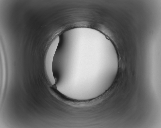X0000083550013200703091605