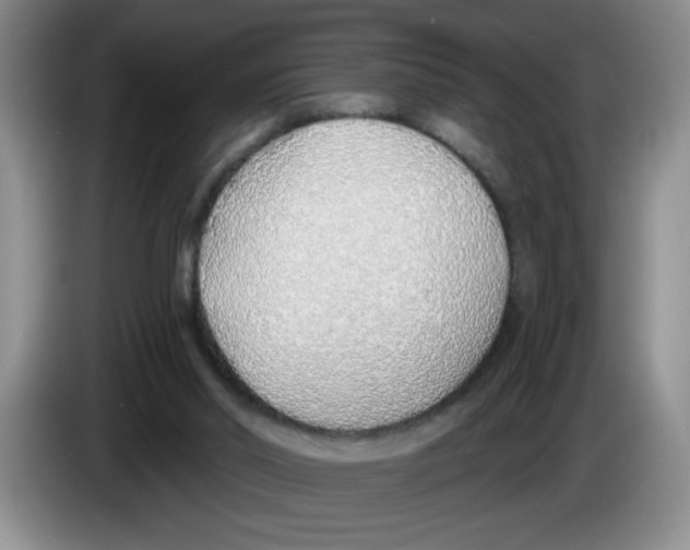 X0000083550014200703091605