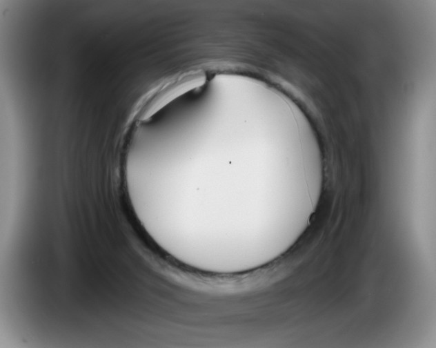 X0000083550015200703091605