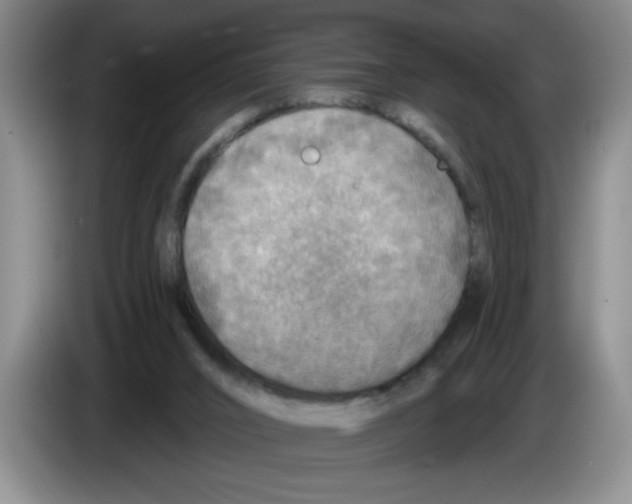 X0000083550016200703091605
