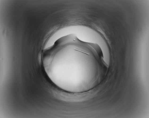 X0000083550019200703091605