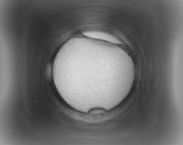 X0000083550022200703091605