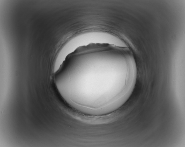 X0000083550023200703091604