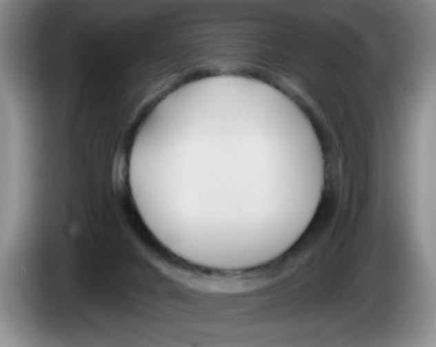 X0000083550024200703091604