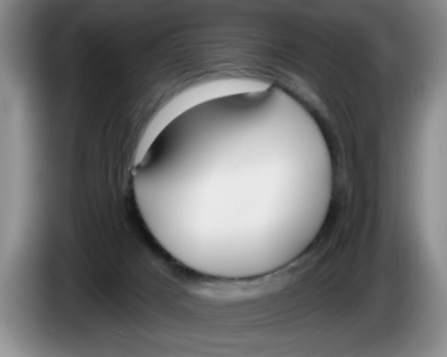 X0000083550025200703091604