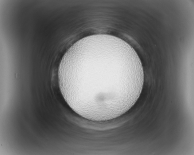 X0000083550026200703091604