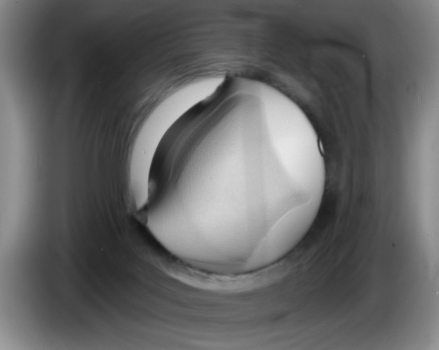 X0000083550027200703091604