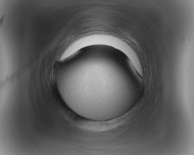 X0000083550029200703091604