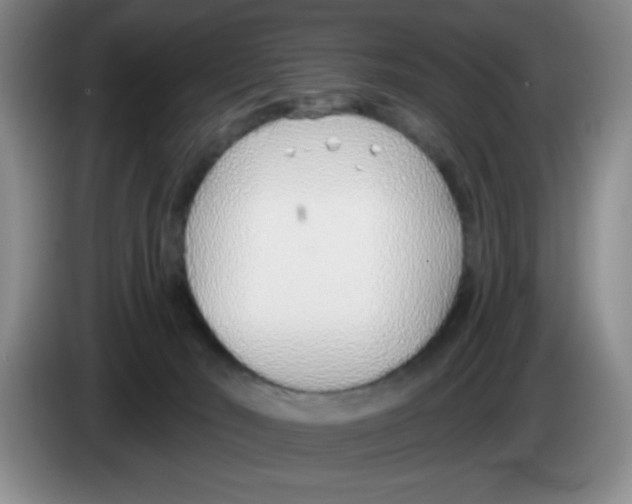 X0000083550030200703091604