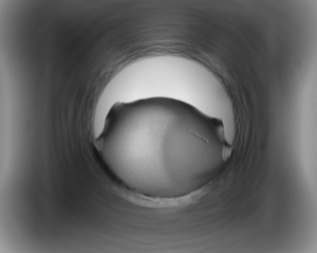 X0000083550031200703091604