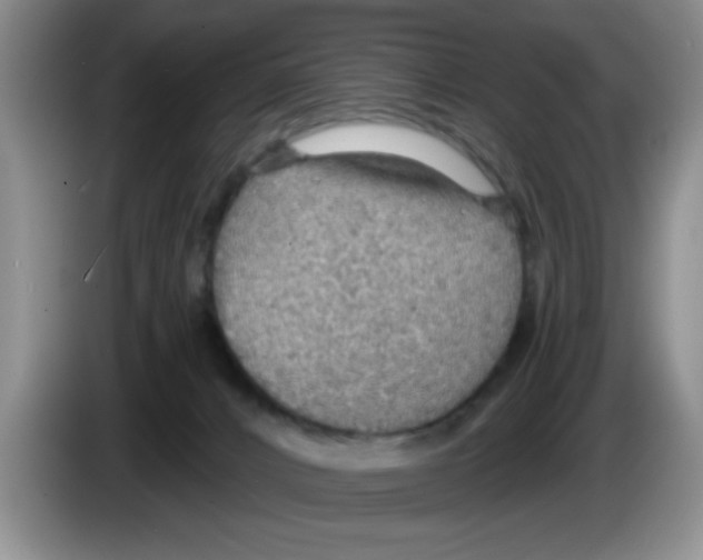 X0000083550032200703091604