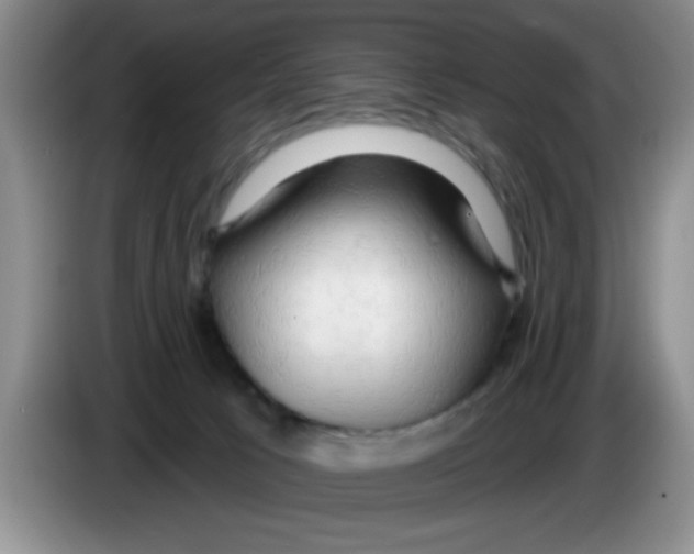 X0000083550033200703091604