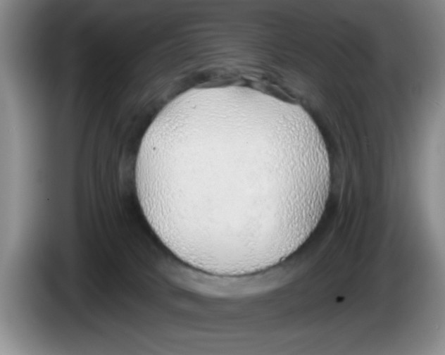 X0000083550034200703091604