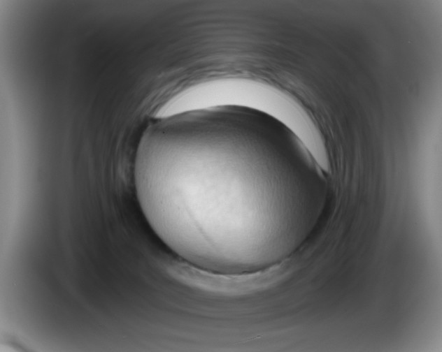 X0000083550035200703091604