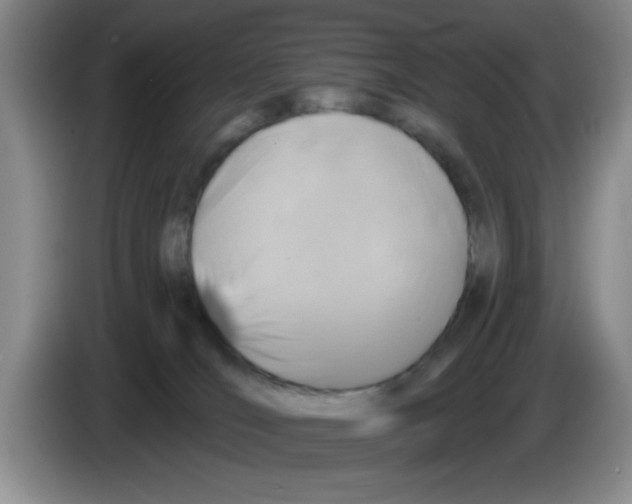 X0000083550036200703091604