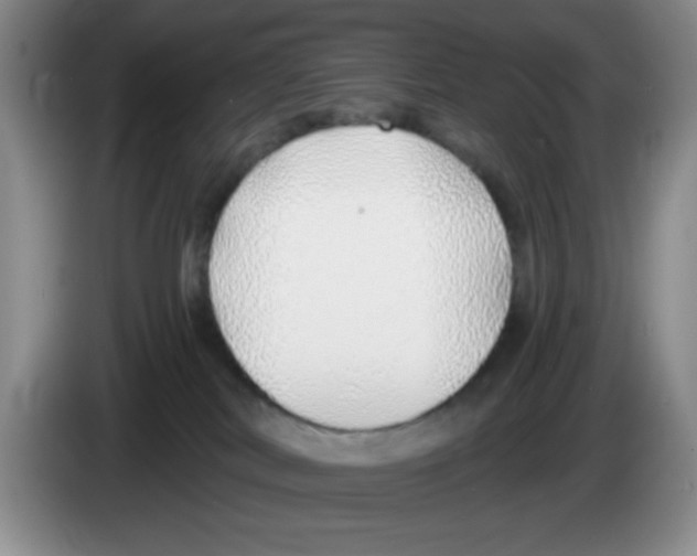 X0000083550038200703091604