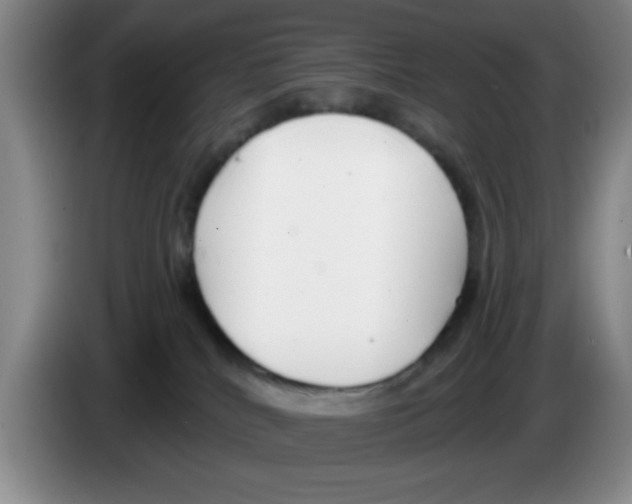 X0000083550040200703091604
